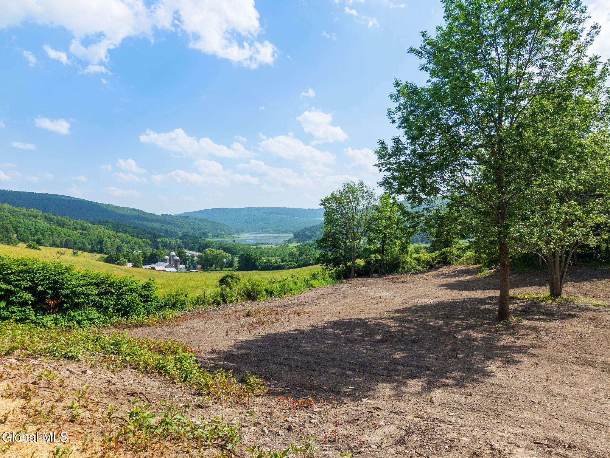 132 Debar Hill Road Middleburgh, NY 12122 - Photo 3 of 14 11-132DebarHillRd_11