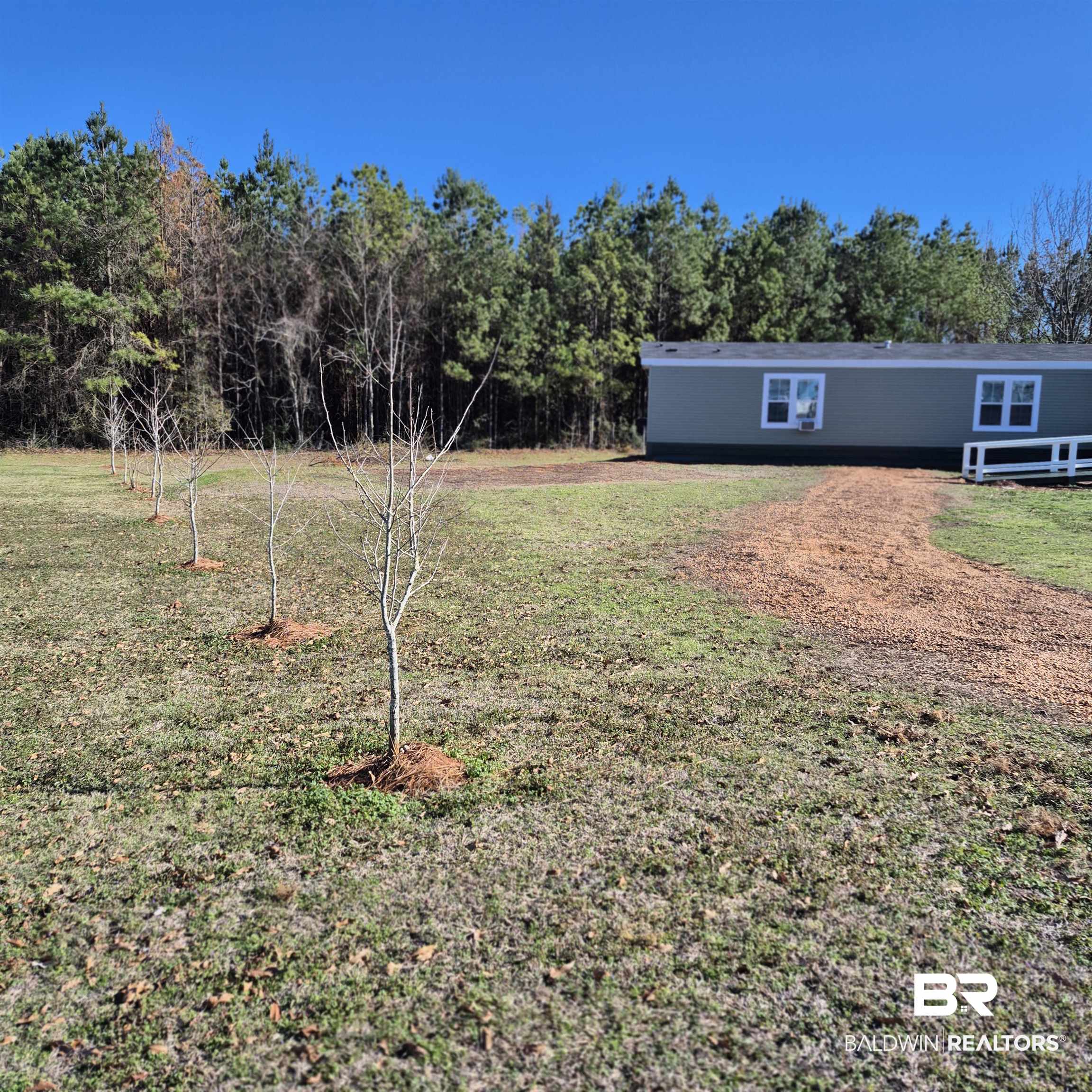 8867 Old Stage Road Repton, AL 36475 - Photo 35 of 37 View of green lawn