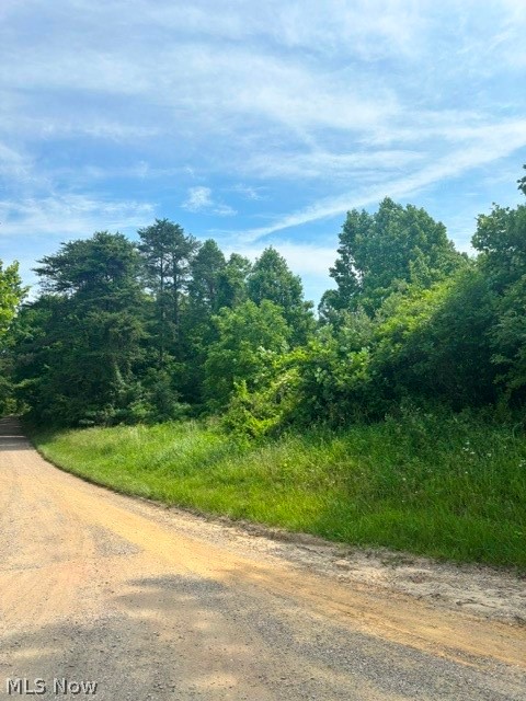 0 East Side Hayman Road Long Bottom, OH 45743 - Photo 12 of 14