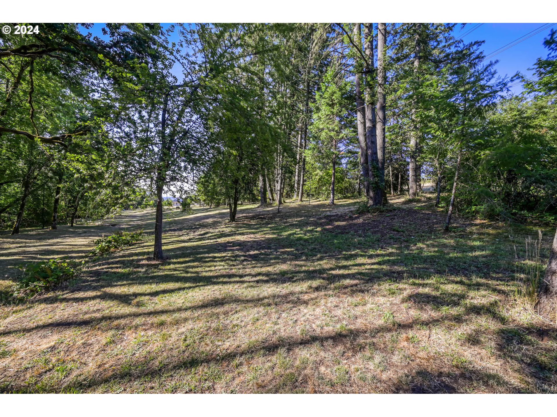 Ridgetop Drive, Unit 15 Eugene, OR 97405 - Photo 12 of 19 a view of a yard with tree s
