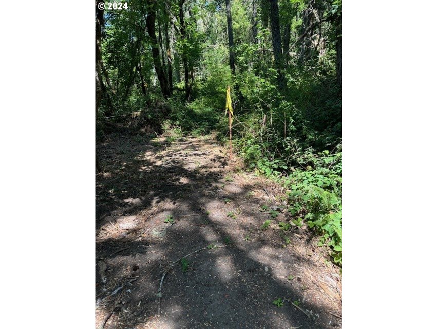 Ridgetop Drive, Unit 15 Eugene, OR 97405 - Photo 19 of 19 a view of a forest with trees in front of it