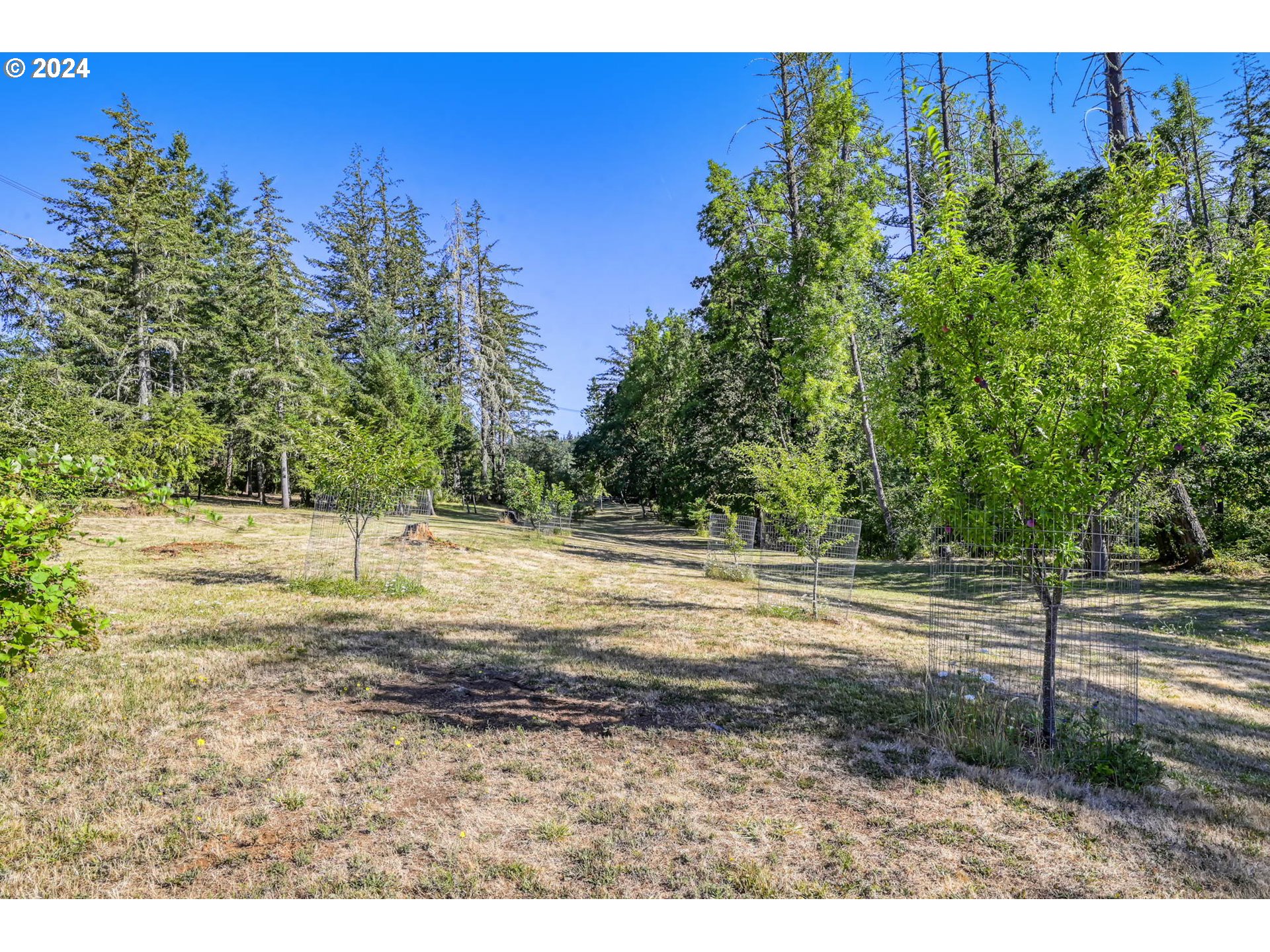 Ridgetop Drive, Unit 15 Eugene, OR 97405 - Photo 7 of 19 a view of a yard