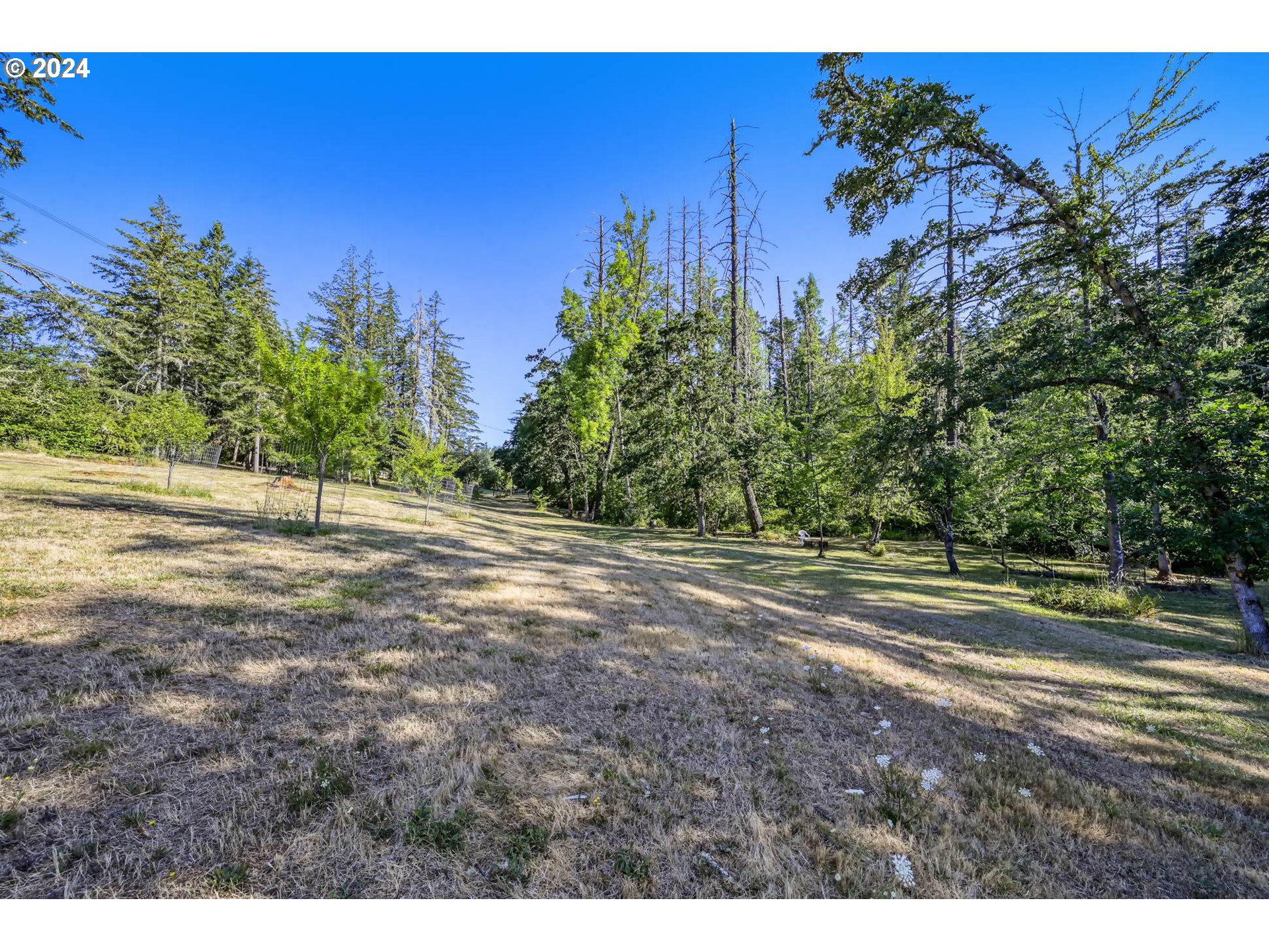 Ridgetop Drive, Unit 15 Eugene, OR 97405 - Photo 8 of 19 a view of a yard with palm tree