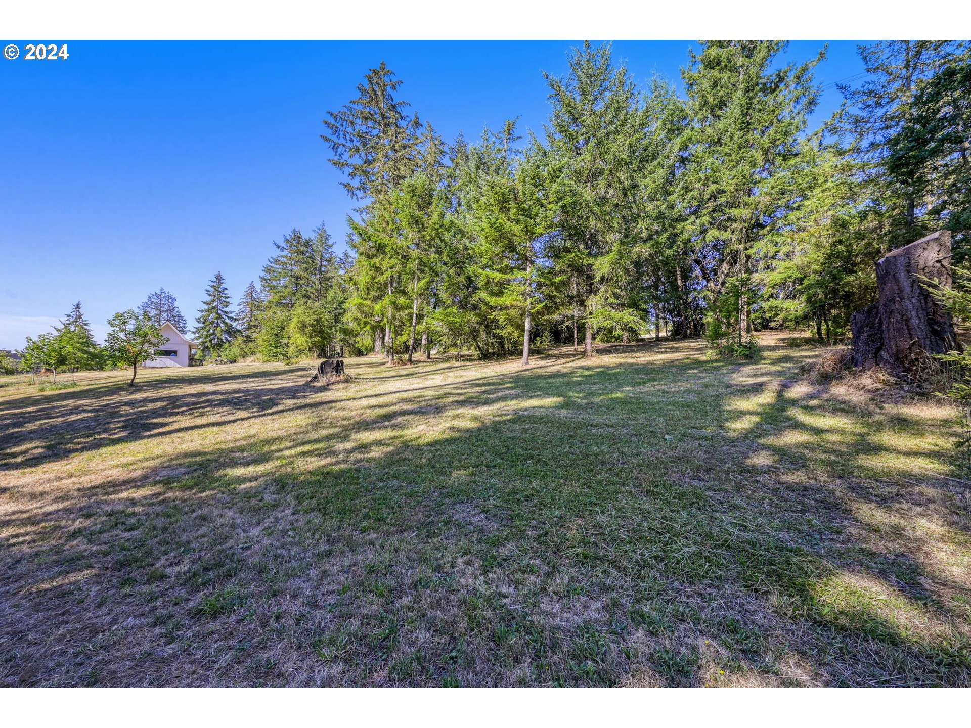 Ridgetop Drive, Unit 15 Eugene, OR 97405 - Photo 9 of 19 a view of a yard with an outdoor space