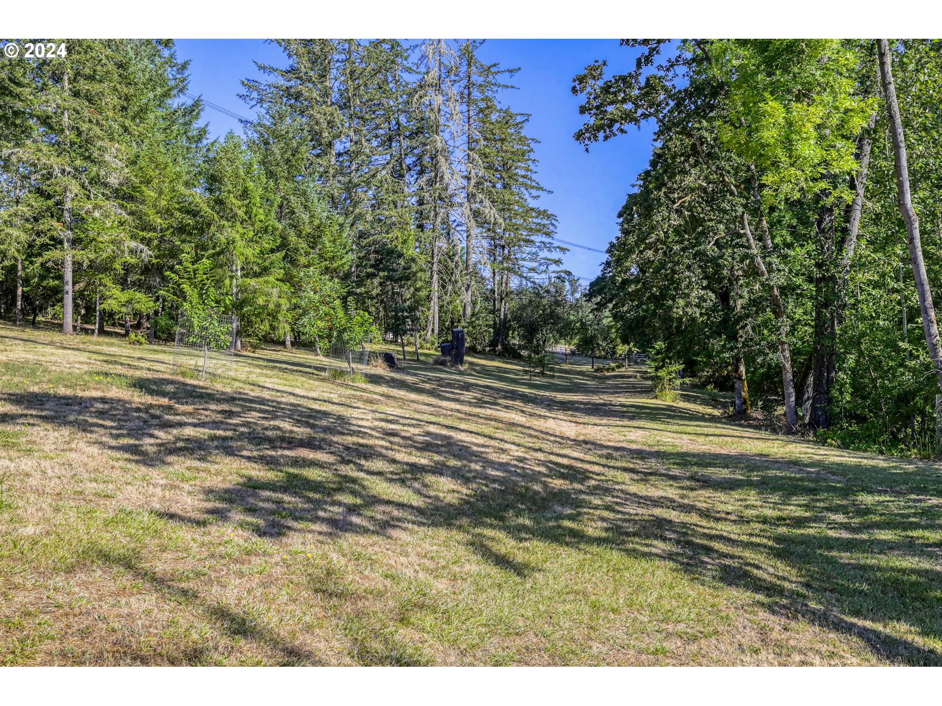 Ridgetop Drive, Unit 15 Eugene, OR 97405 - Photo 10 of 19 a view of a field with a tree