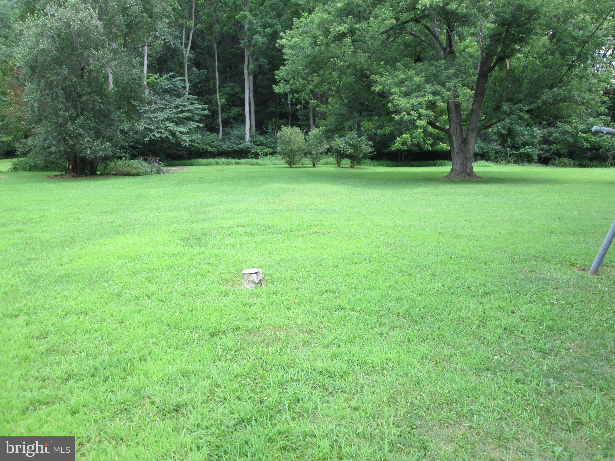71 Woodchoppertown Road Boyertown, PA 19512 - Photo 6 of 31 a backyard of a house with plants and large trees