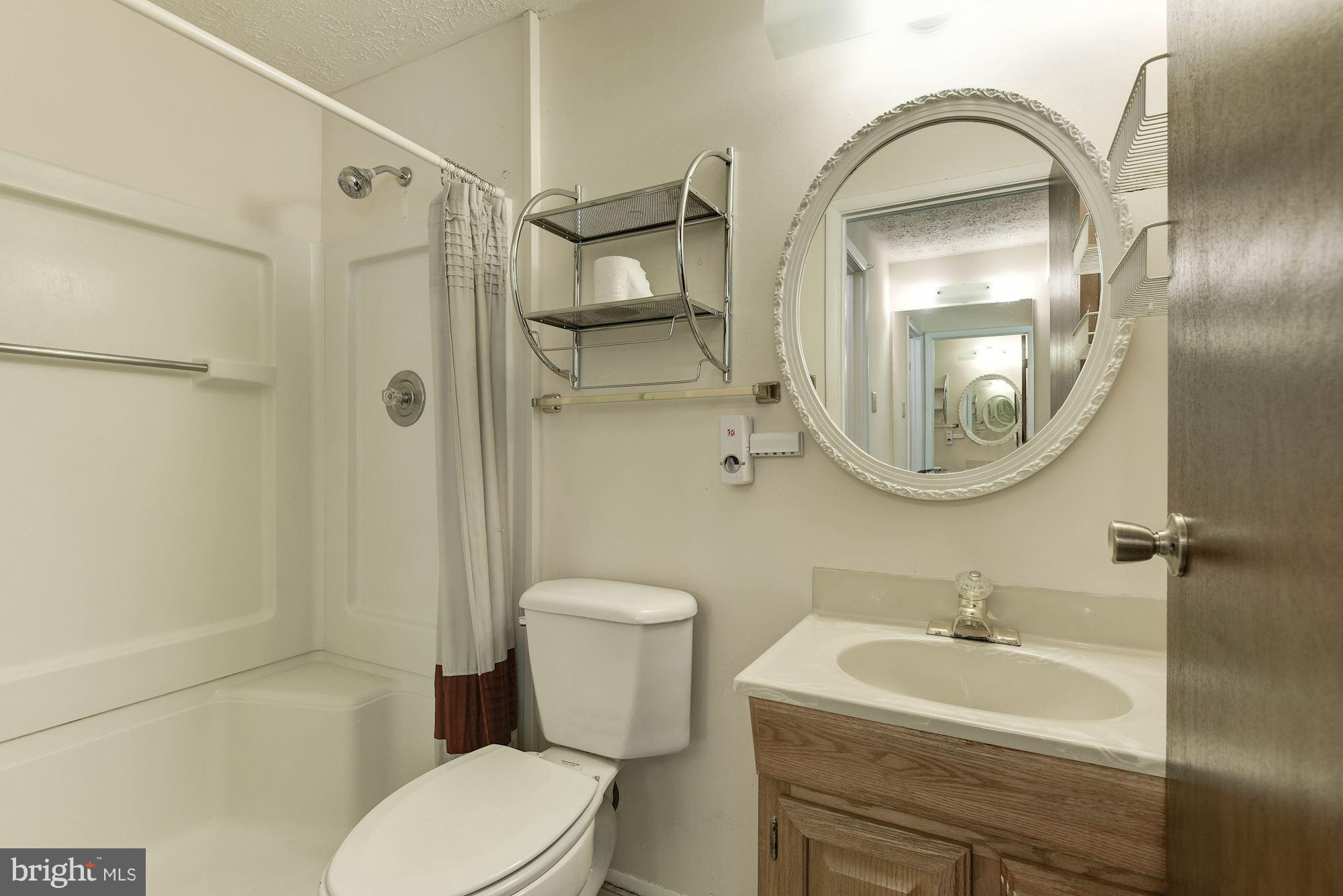 8334 Magic Leaf Road Springfield, VA 22153 - Photo 12 of 29 Bath (Master)