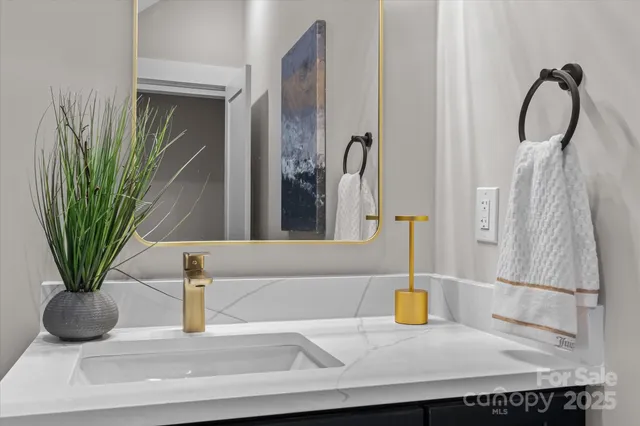 a bathroom with a potted plant