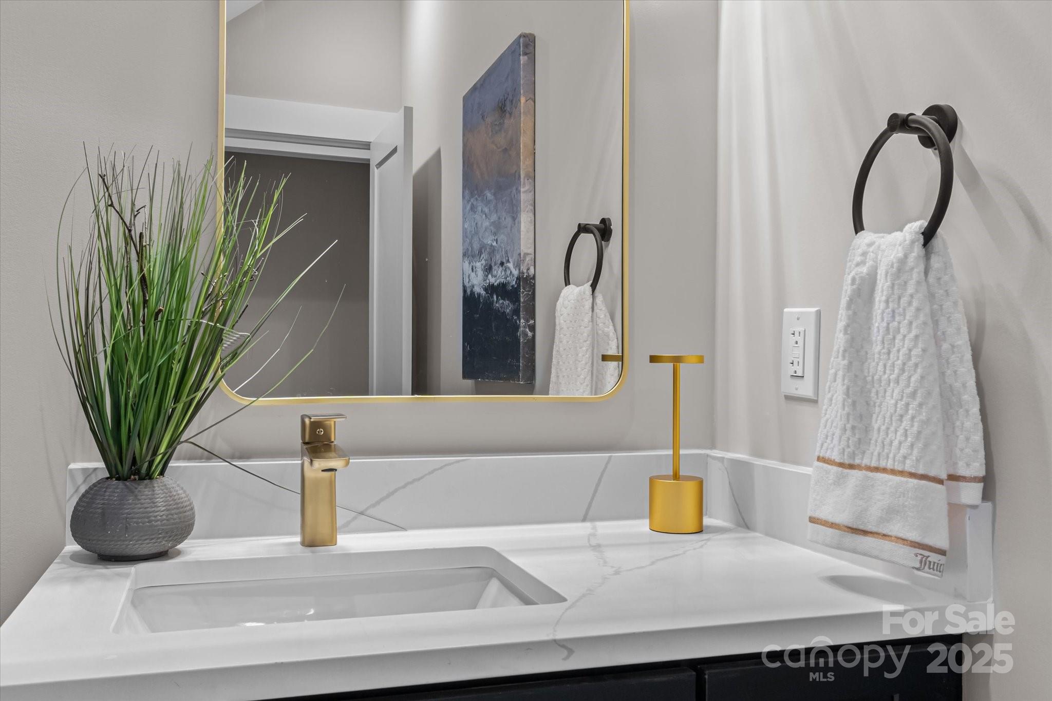 4435 Cornett Drive Iron Station, NC 28080 - Photo 19 of 46 a bathroom with a potted plant