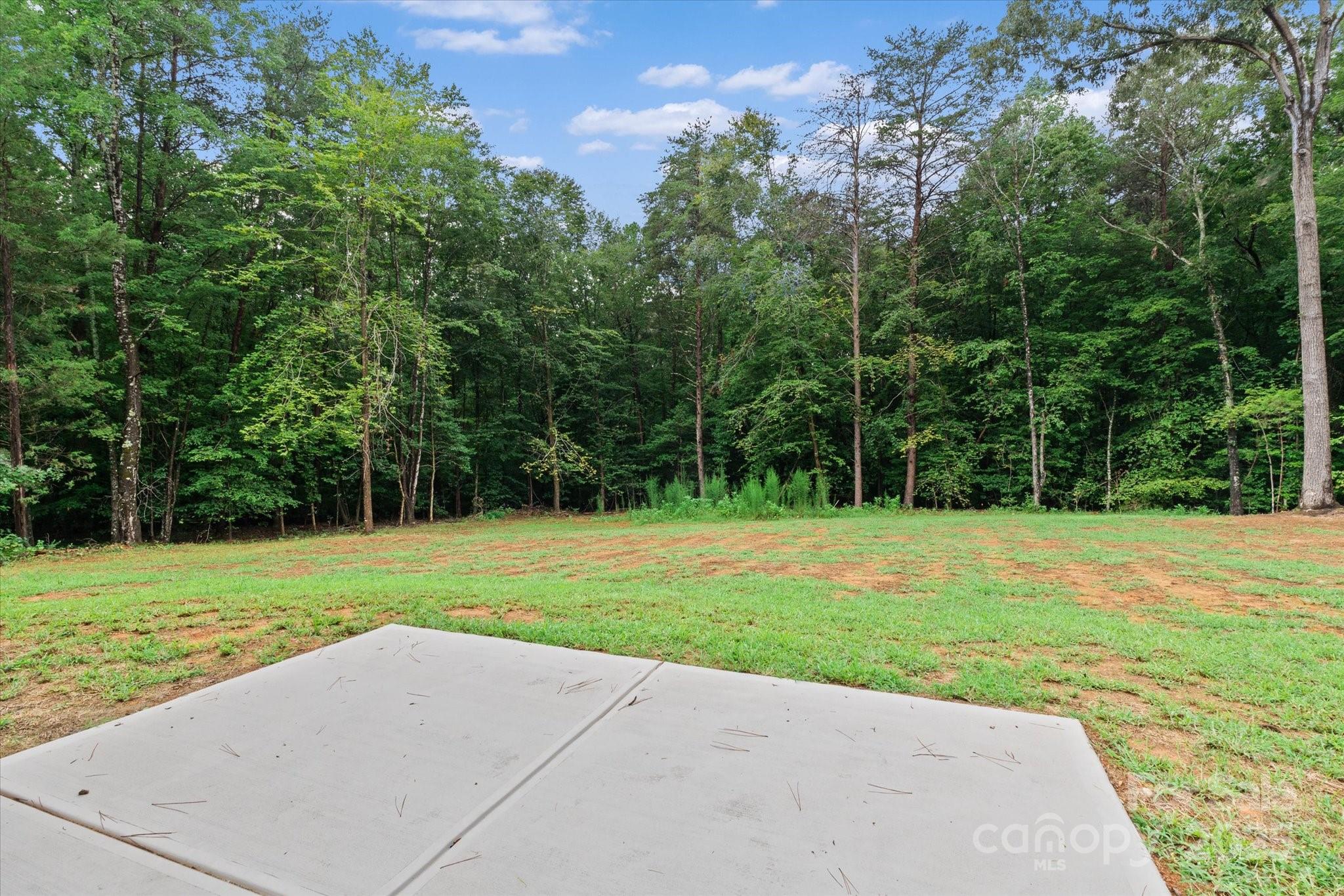 4435 Cornett Drive Iron Station, NC 28080 - Photo 43 of 46 a view of a park with large trees