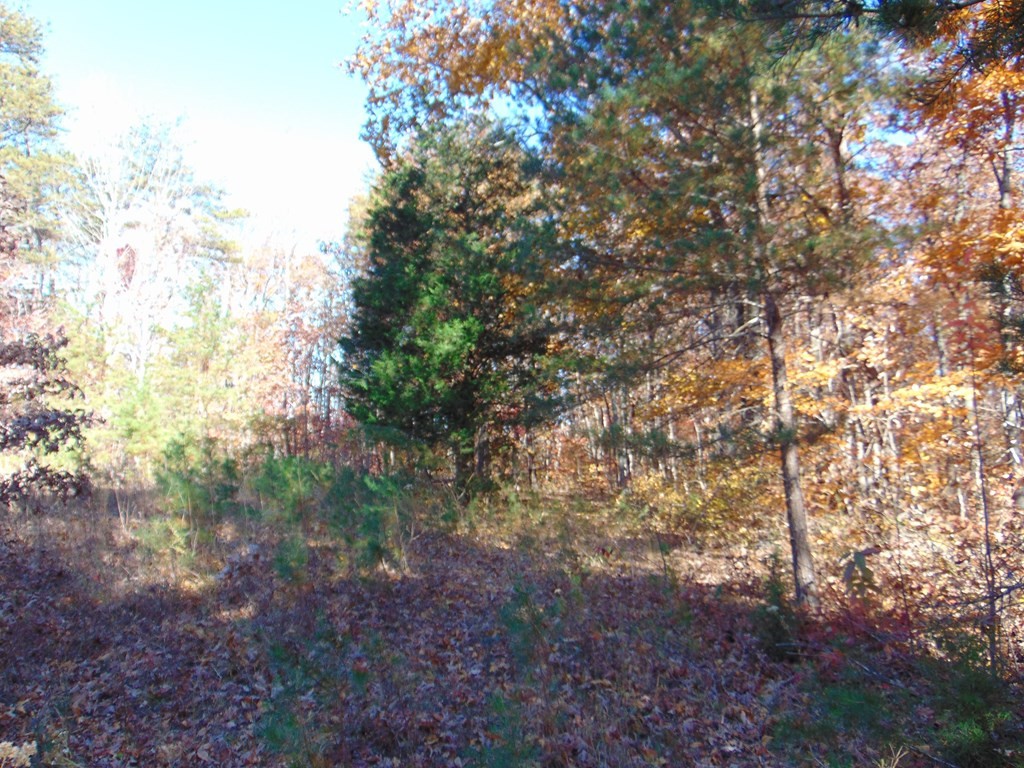 0 Raccoon Ridge Road Spring City, TN 37381 - Photo 18 of 70