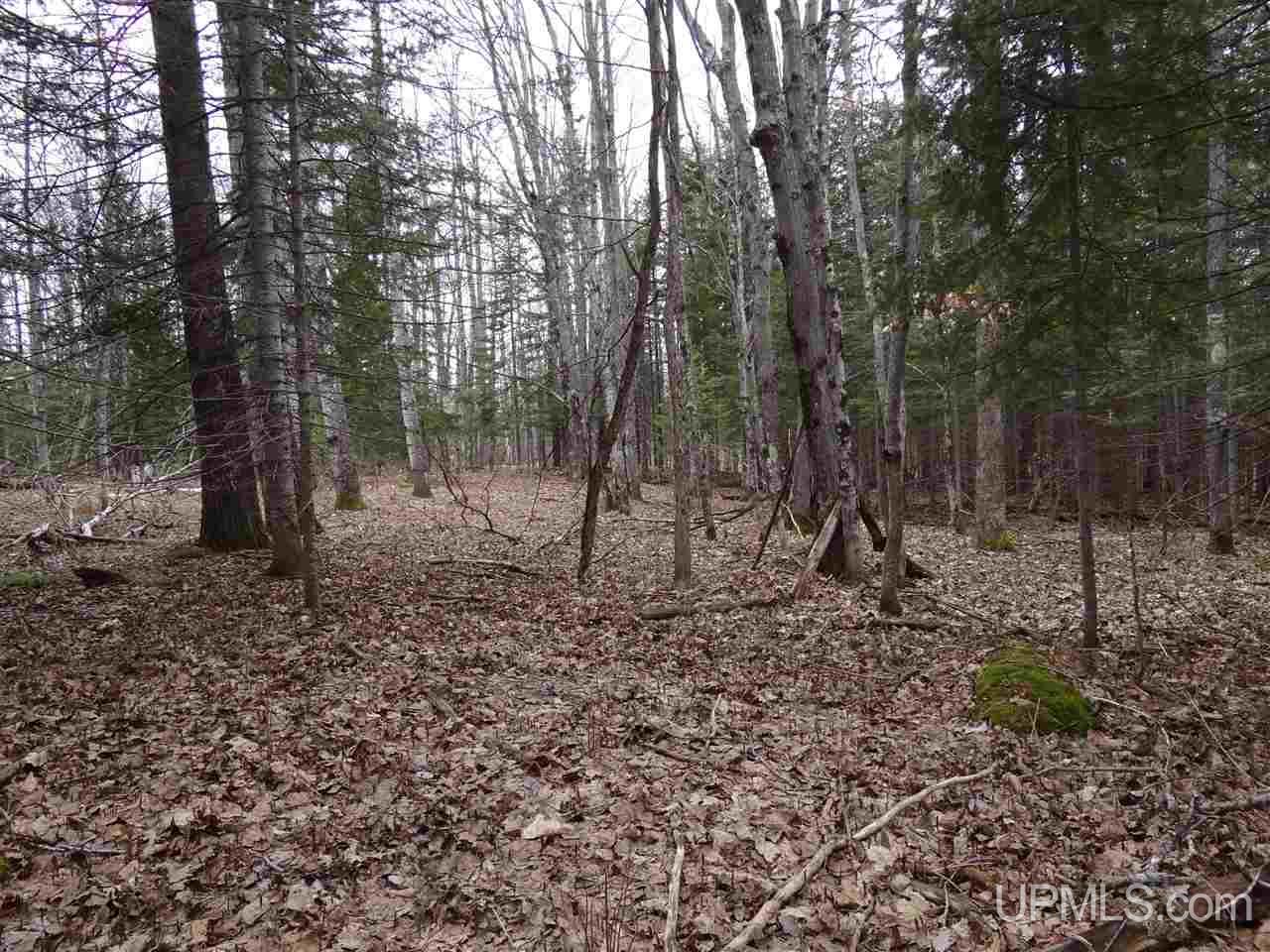 Tbd Dogpatch Road, Unit LOT I Lanse, MI 49946 - Photo 7 of 25