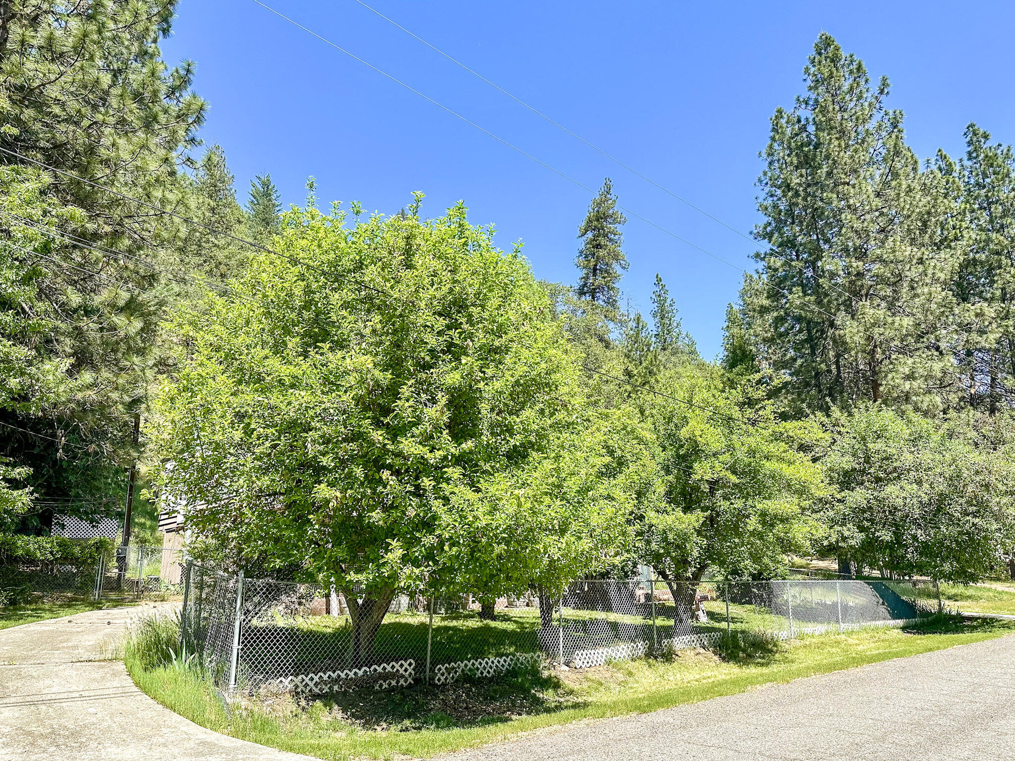 155 Steelhead Circle Lewiston, CA 96052 - Photo 41 of 53 IMG_4808