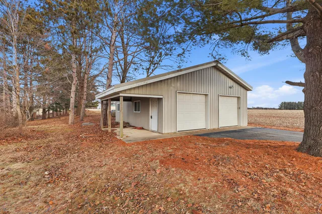 a view of dirt yard with a large tree