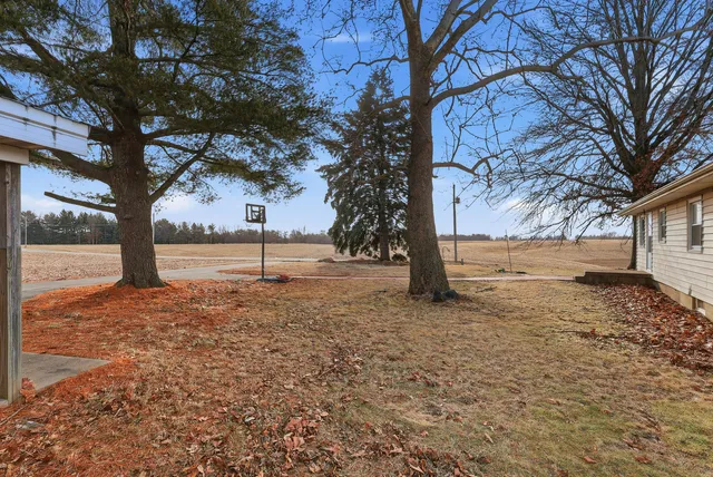 a view of a yard with a tree