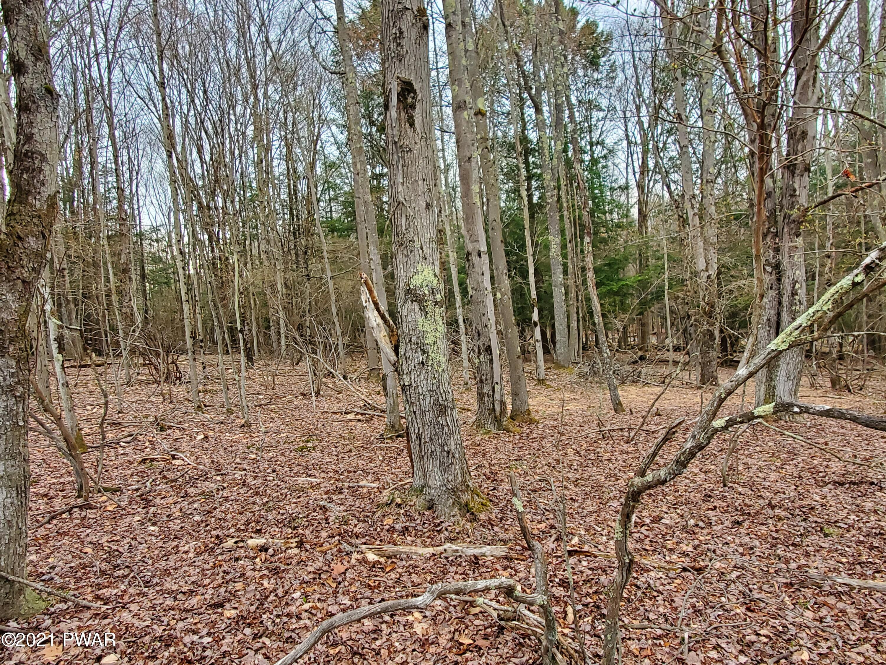333 Ruffed Grouse Path Lake Ariel, PA 18436 - Photo 1 of 13