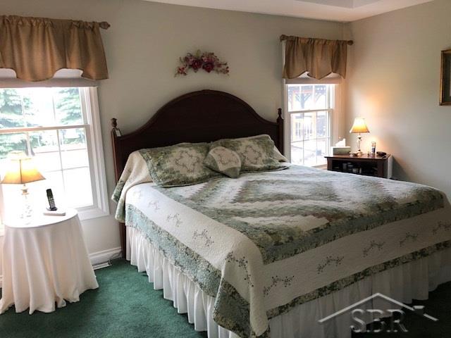 9710 Warnick Road Frankenmuth, MI 48734 - Photo 6 of 43 31387415-5.JPG