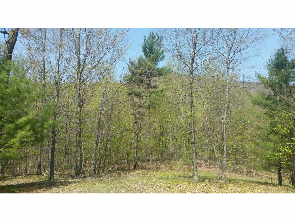 B Lost Lake Road Arlington, VT 05250 - Photo 2 of 15 Gallery Image 2