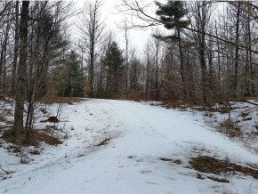B Lost Lake Road Arlington, VT 05250 - Photo 11 of 15 Gallery Image 11