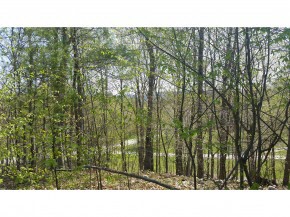 B Lost Lake Road Arlington, VT 05250 - Photo 12 of 15 Gallery Image 12