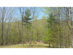 B Lost Lake Road Arlington, VT 05250 - Photo 13 of 15 Gallery Image 13