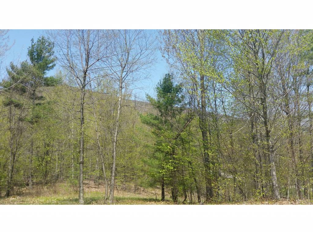 B Lost Lake Road Arlington, VT 05250 - Photo 4 of 15 Gallery Image 4