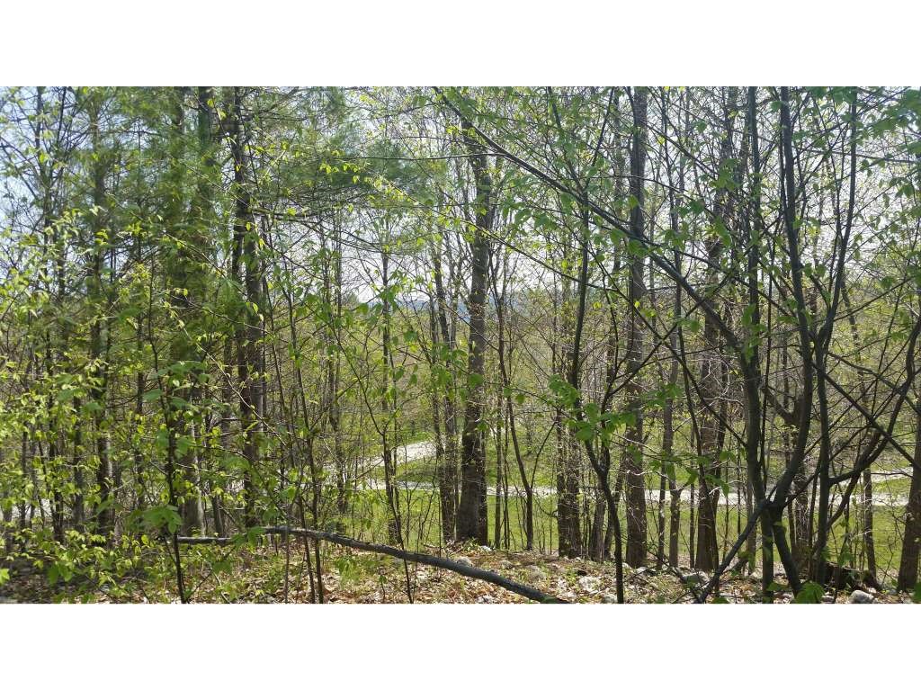 B Lost Lake Road Arlington, VT 05250 - Photo 5 of 15 Gallery Image 5