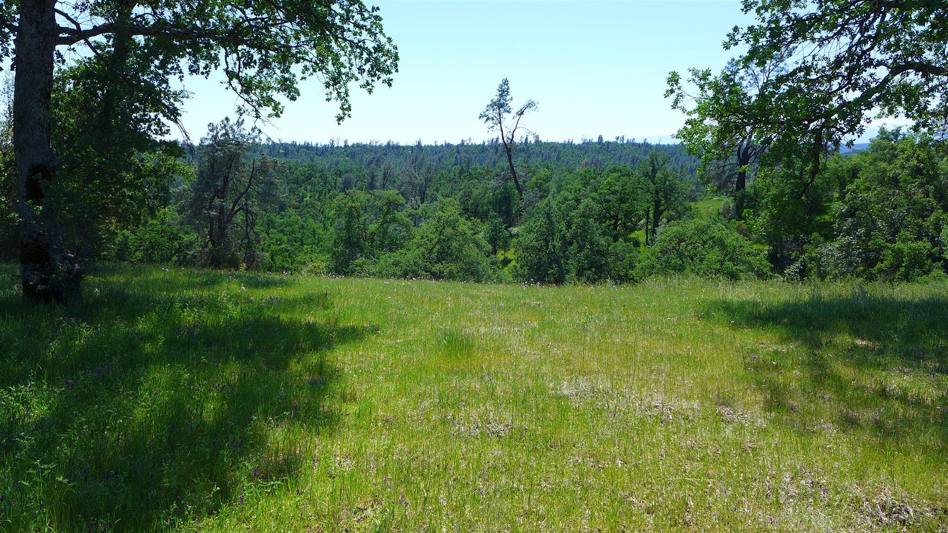4573 Peaceful Ridge Road Redding, CA 96001 - Photo 11 of 13 a view of a green field with a tree