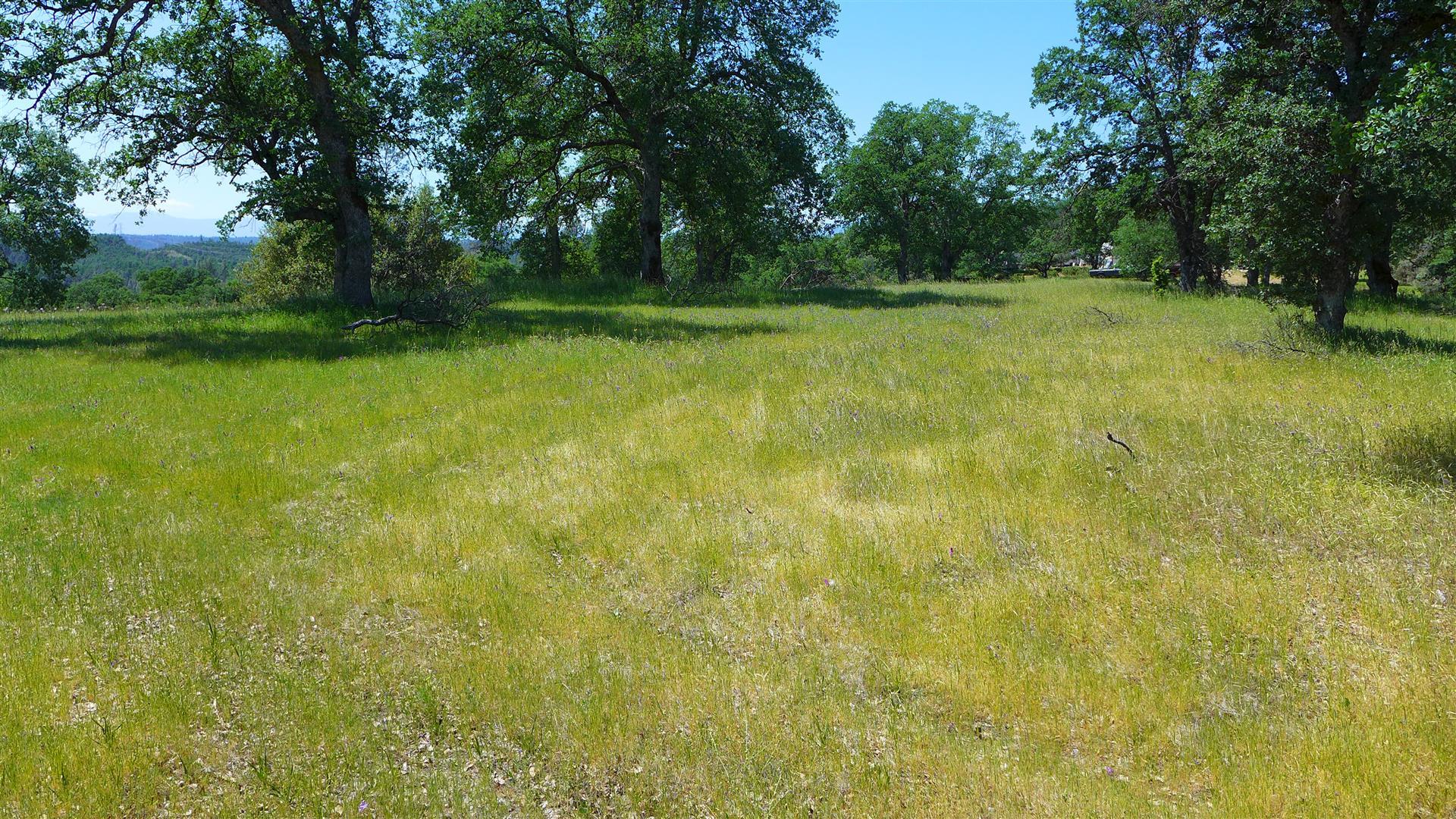 4573 Peaceful Ridge Road Redding, CA 96001 - Photo 6 of 13 a view of a green field with trees in the background