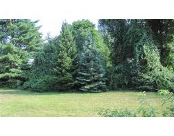 173 Flagg Street Worcester, MA 01609 - Photo 5 of 16