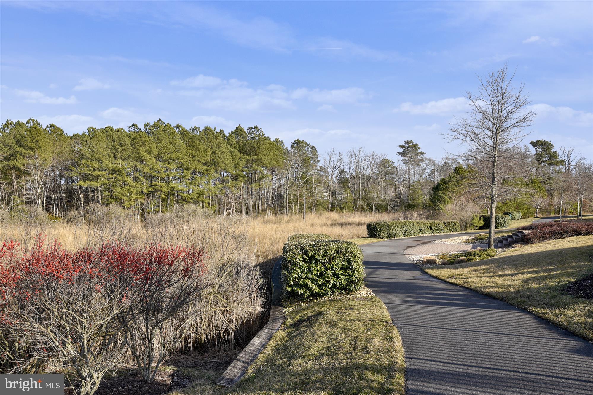 36403 Junco Road, Unit 211B Ocean View, DE 19970 - Photo 60 of 78 scenic walking paths throughout Bay Forest