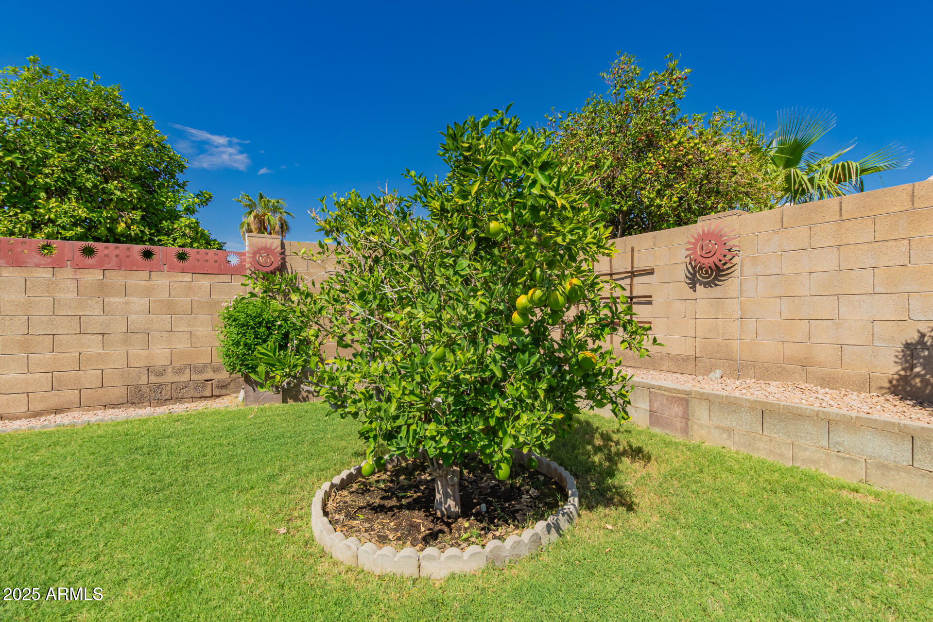 2431 North Rugby Mesa, AZ 85215 - Photo 35 of 44 35 - Rugby