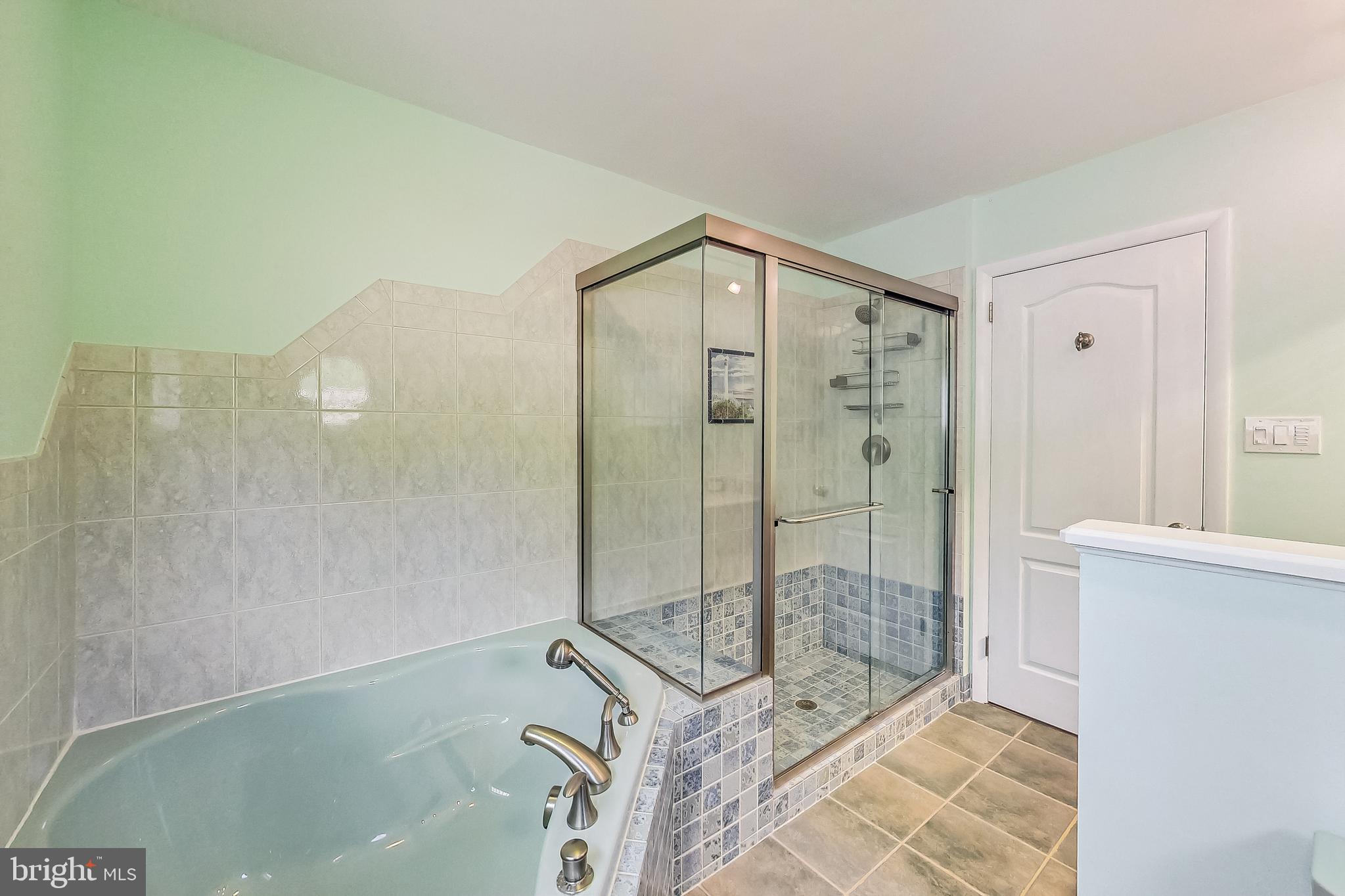 2452 Freetown Drive Reston, VA 20191 - Photo 26 of 69 Primary Bathroom with Custom Tiling