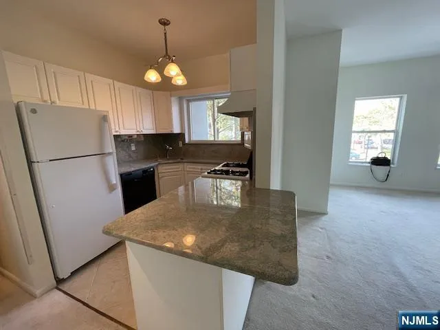 a kitchen with stainless steel appliances granite countertop a refrigerator a sink a stove and a refrigerator