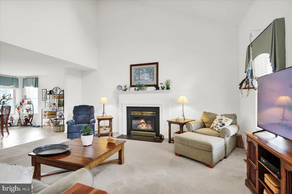 2509 Joshua Drive Sinking Spring, PA 19608 - Photo 3 of 35 a living room with furniture and a fireplace