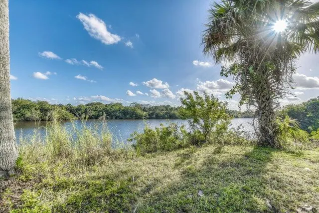 a view of a lake in between the bunch of trees