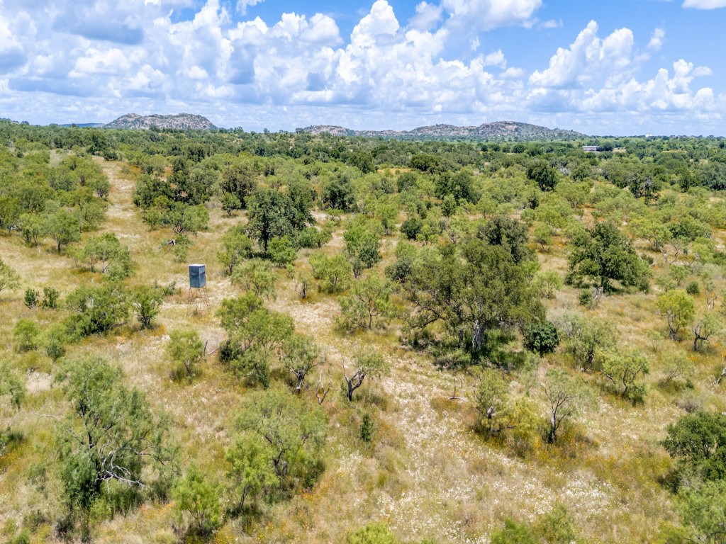Tbd Hickory Grove Road Pontotoc, TX 76869 - Photo 13 of 19
