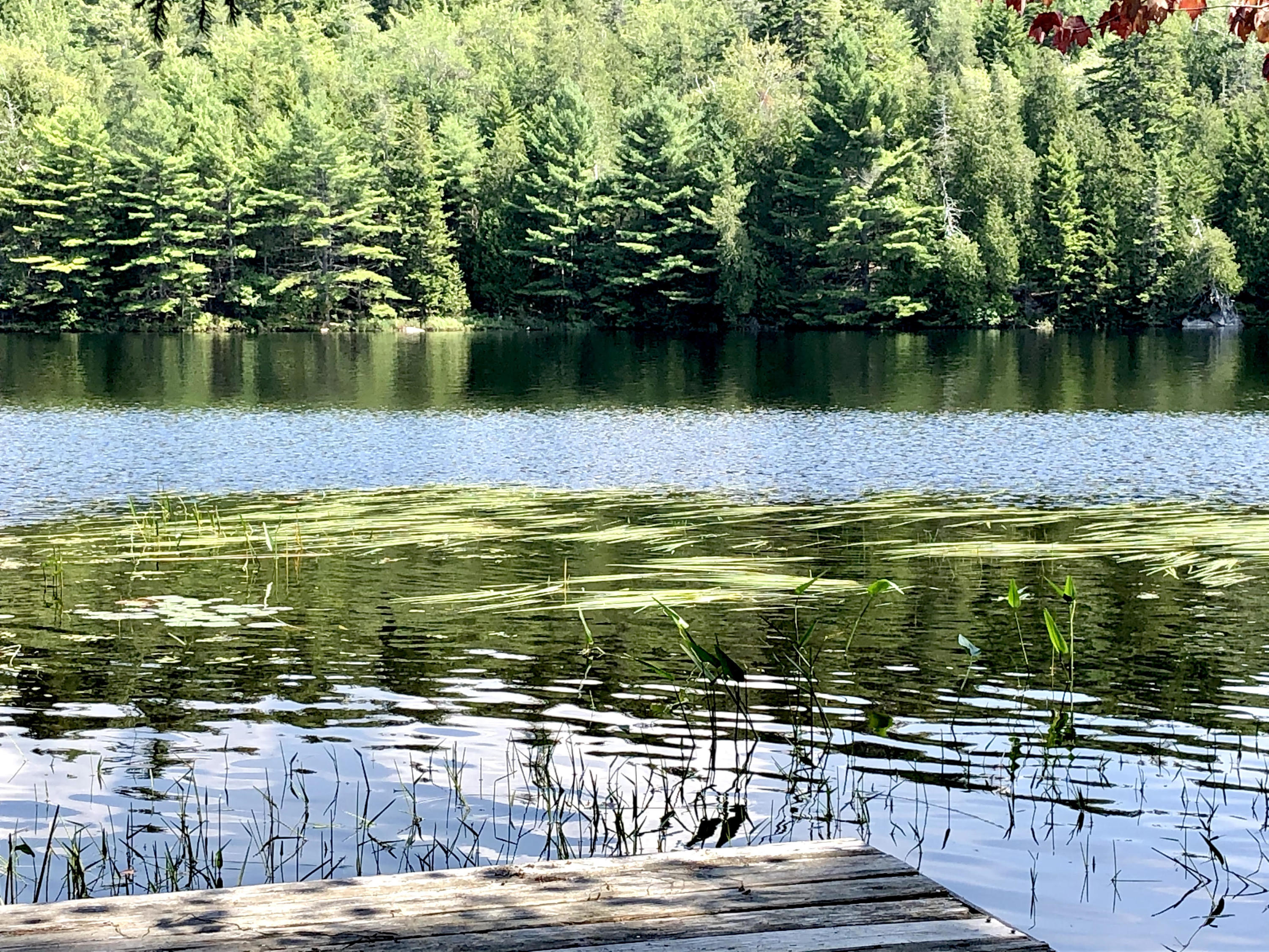 58 Daddy Johnny Road Tremont, ME 04674 - Photo 4 of 52 Hodgdon Pond