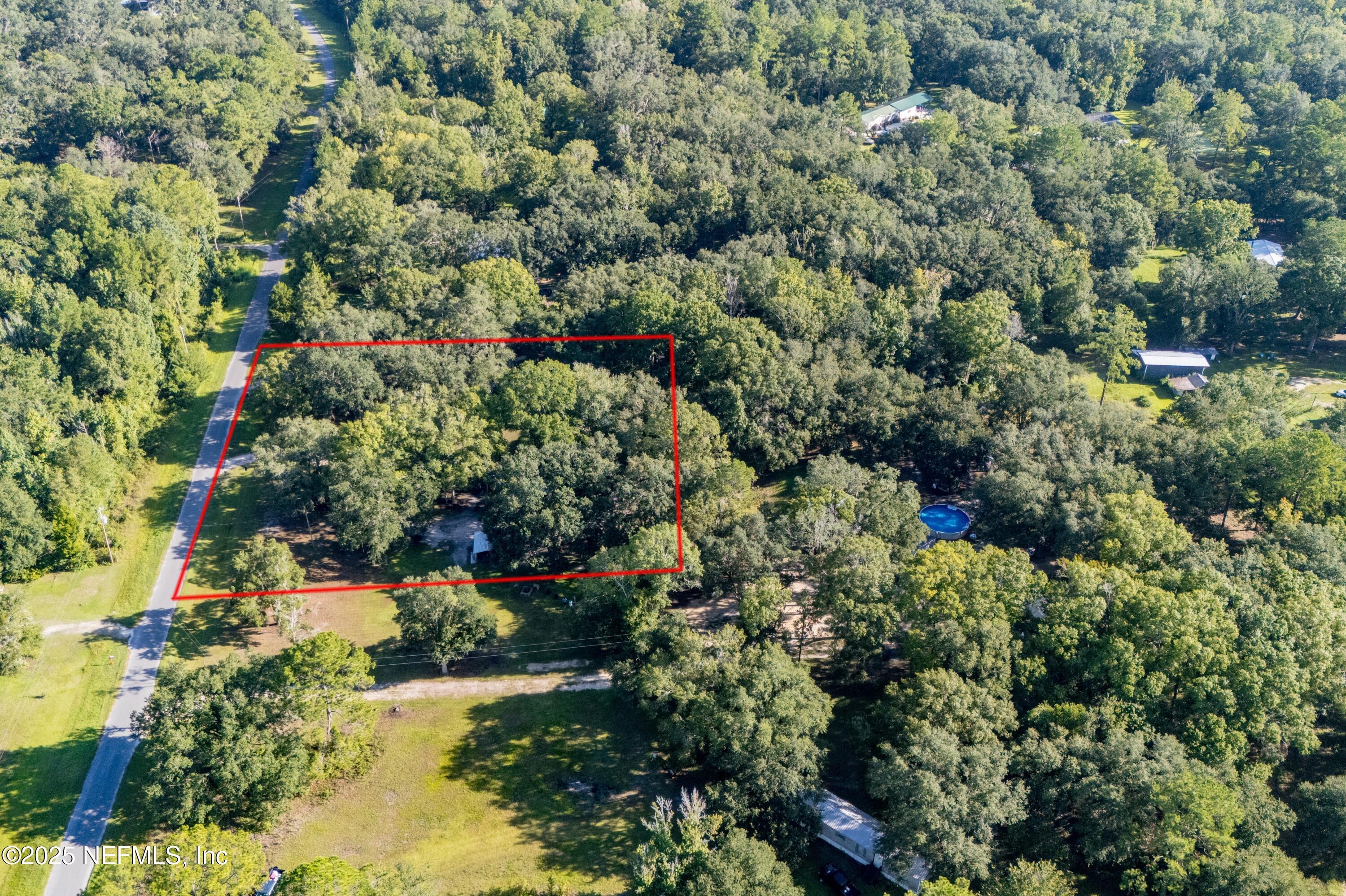 7236 Southeast 163rd Lane Lake Butler, FL 32054 - Photo 35 of 35 a view of a garden with plants