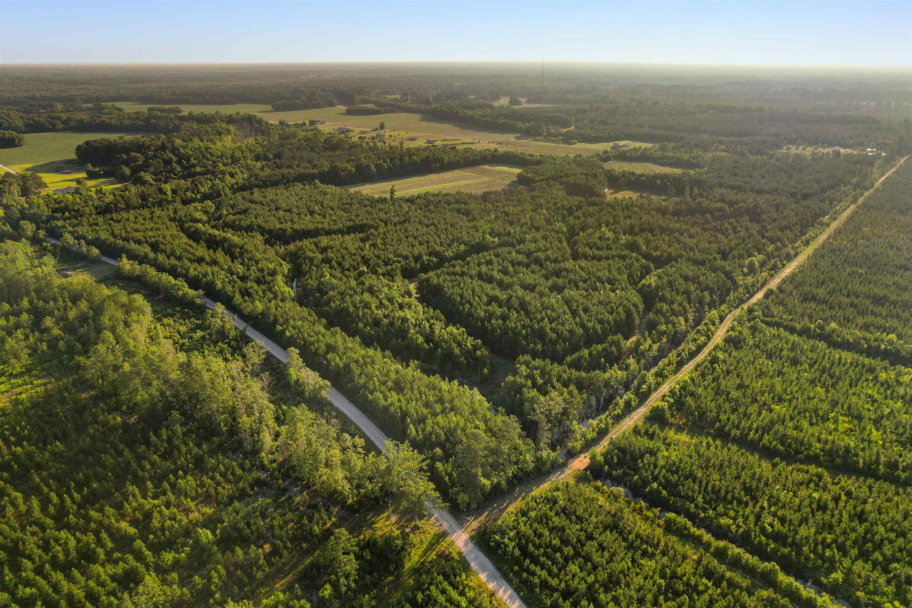 77-acres - Tbd Bert Hanna Road Hemingway, SC 29554 - Photo 2 of 28