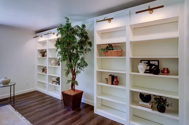 a living room with hard wood floor and a potted plant