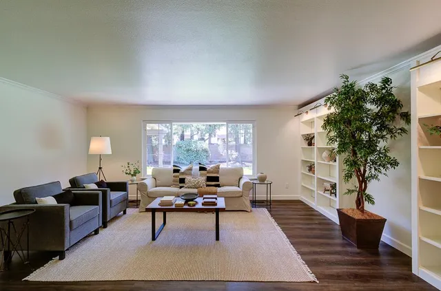 a living room with furniture potted plant and a window
