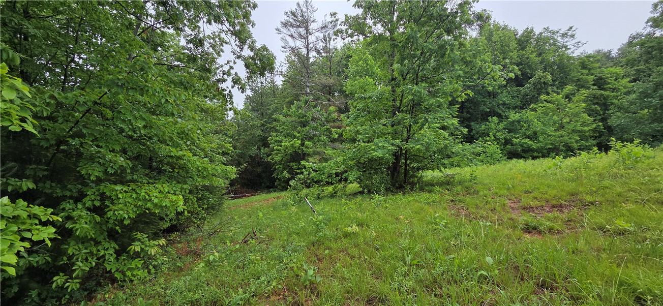 1 Lenore B Lane Mountain Rest, SC 29664 - Photo 7 of 30