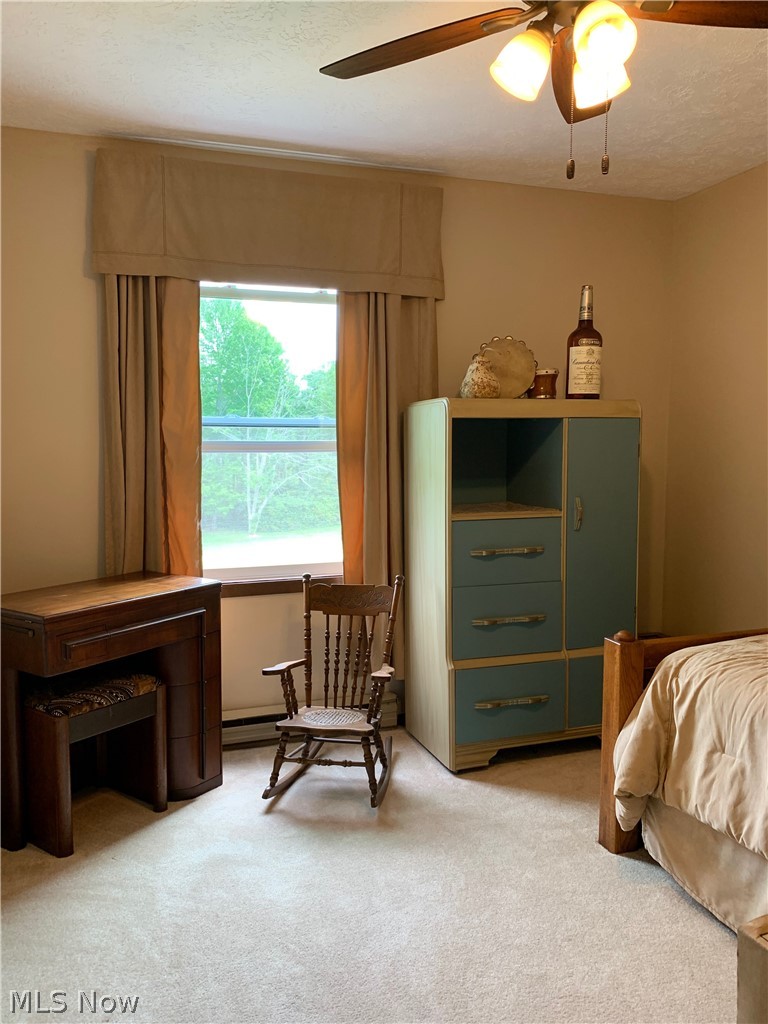 478 State Road Geneva, OH 44041 - Photo 23 of 30 Gallery Image 23