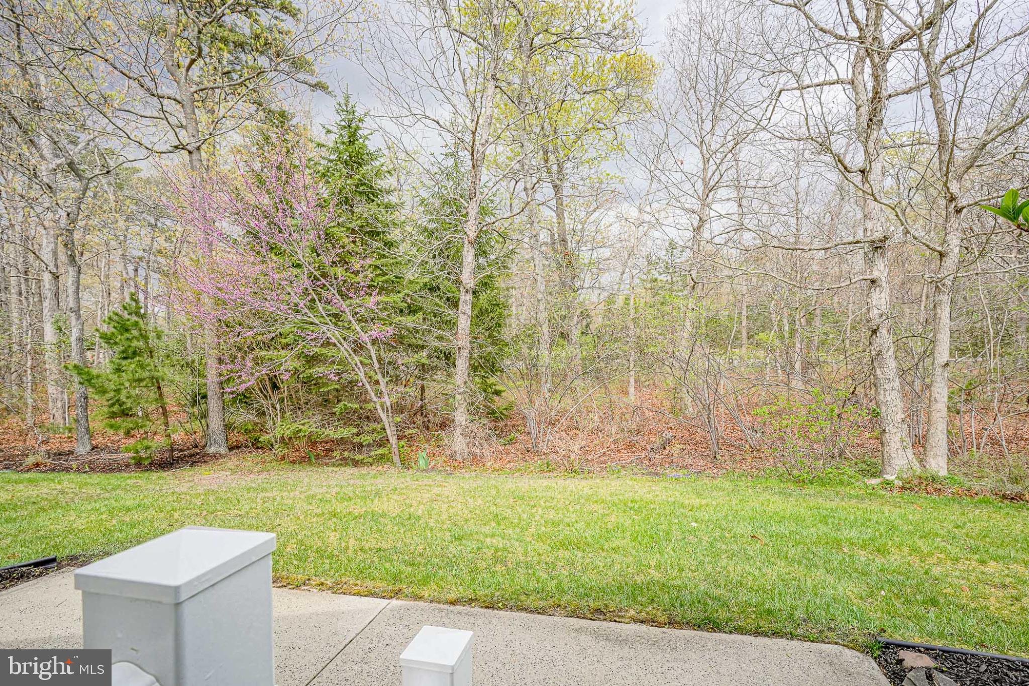 213 Limerick Street Absecon, NJ 08205 - Photo 32 of 39 Serene woodland retreat awaits you.