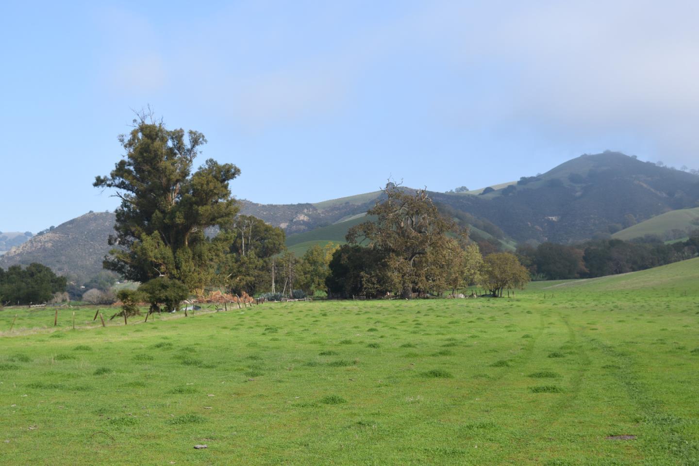 a view of grassy field with mountain in the background