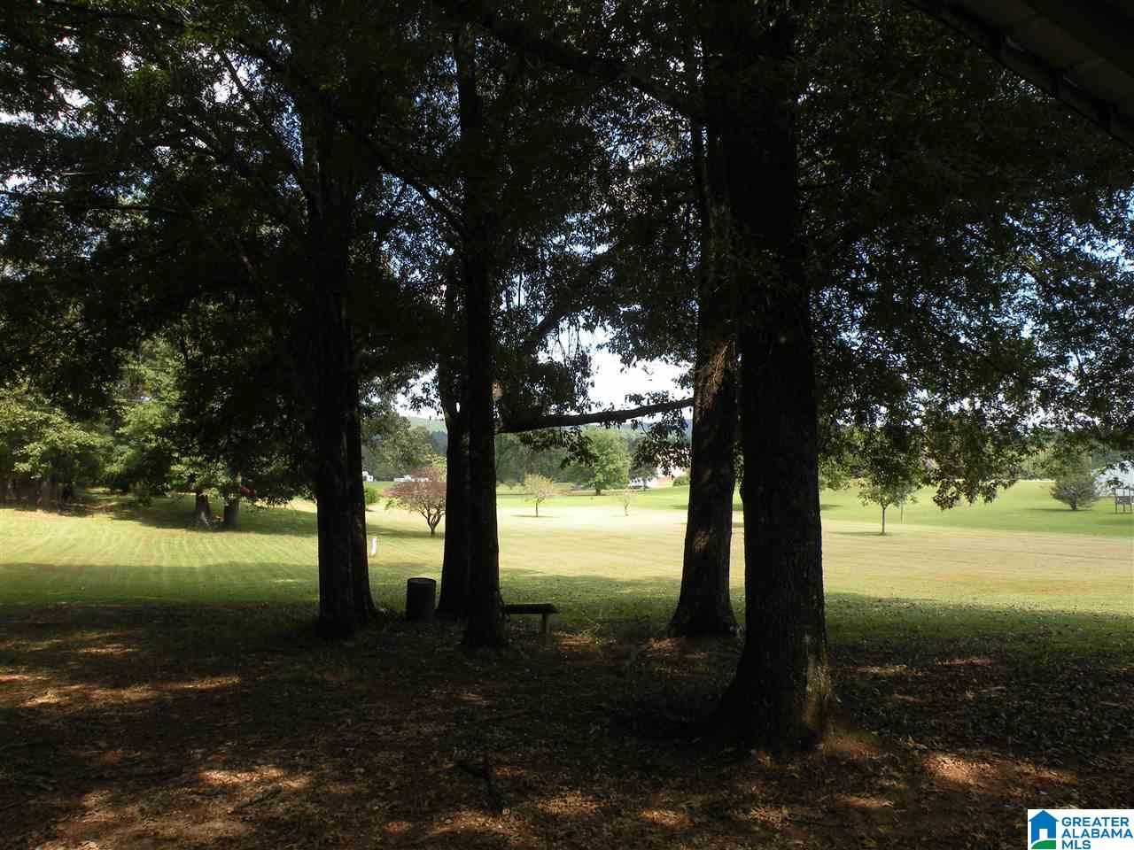 4330 Odens Mill Road Sylacauga, AL 35151 - Photo 22 of 28
