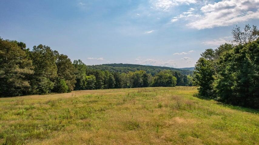 4 Bullens Road Ocoee, TN 37361 - Photo 3 of 27