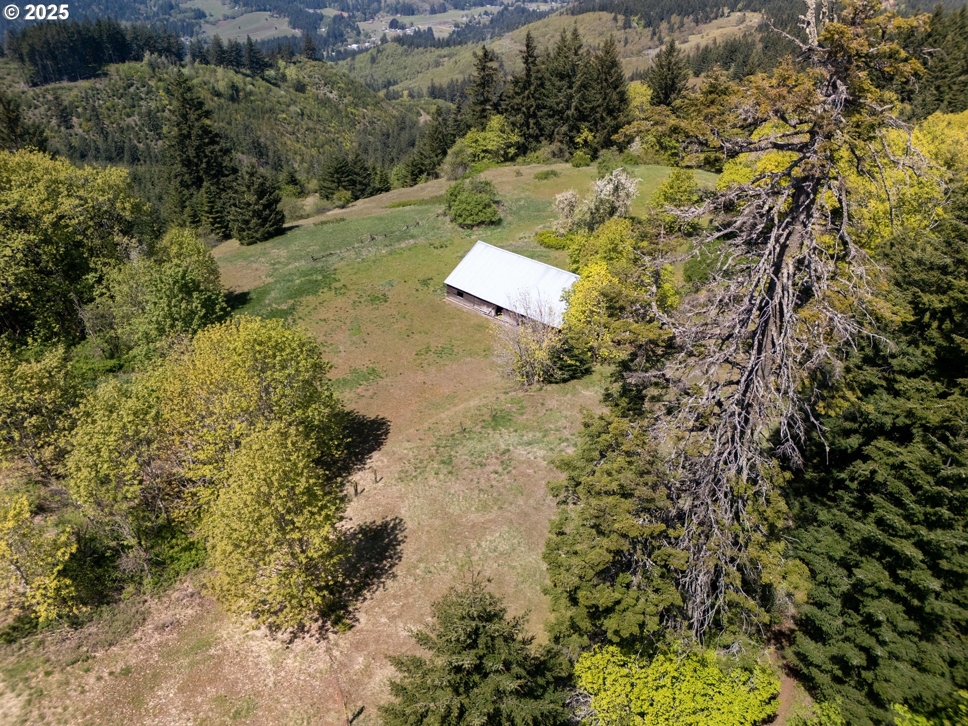 59 Tunnel Road White Salmon, WA 98672 - Photo 9 of 27