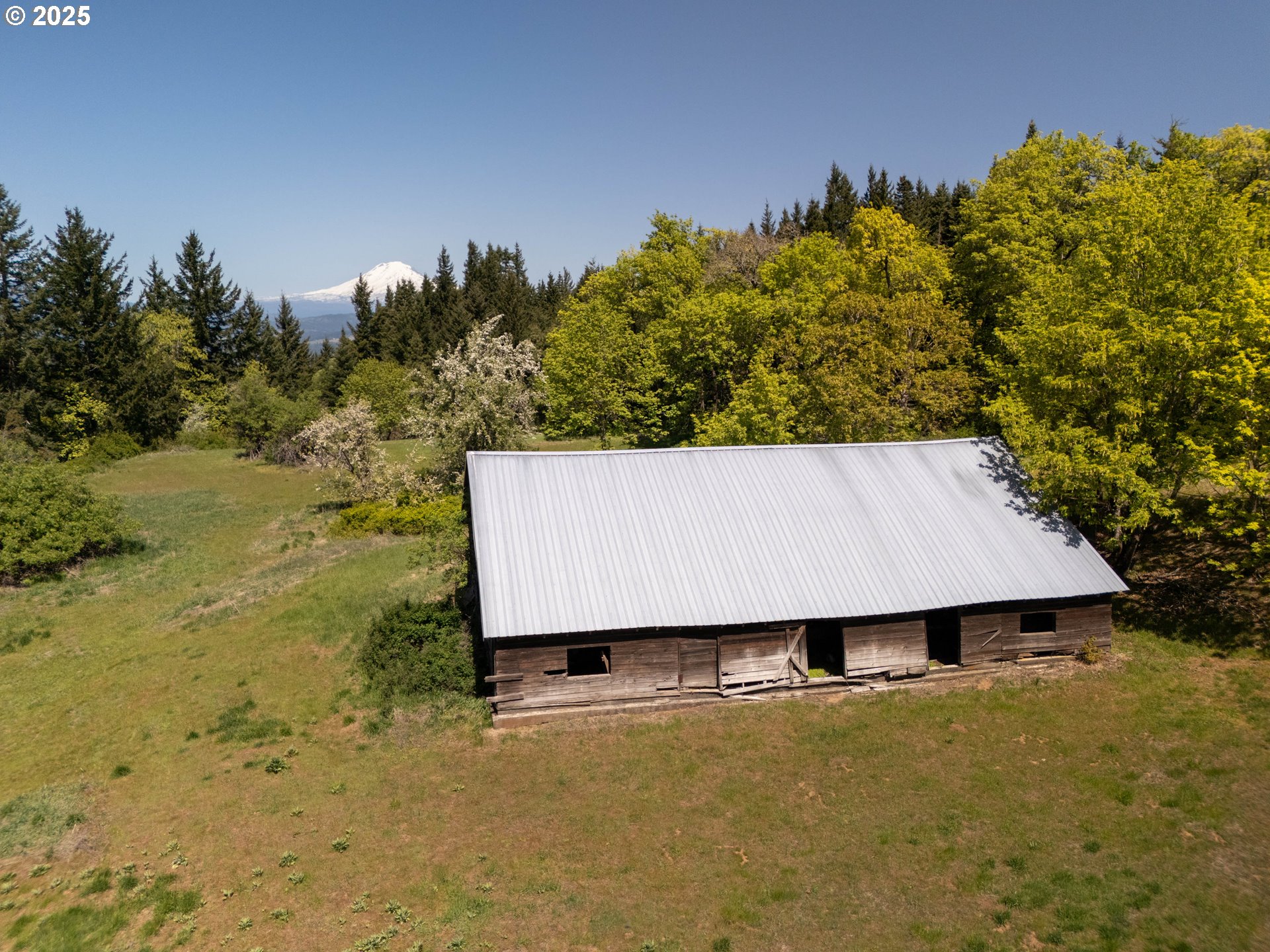 59 Tunnel Road White Salmon, WA 98672 - Photo 10 of 27